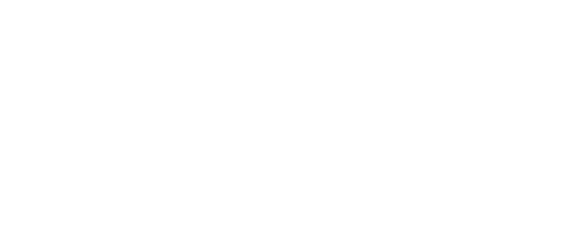 Logo FlexColor